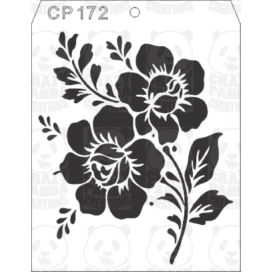 CP172